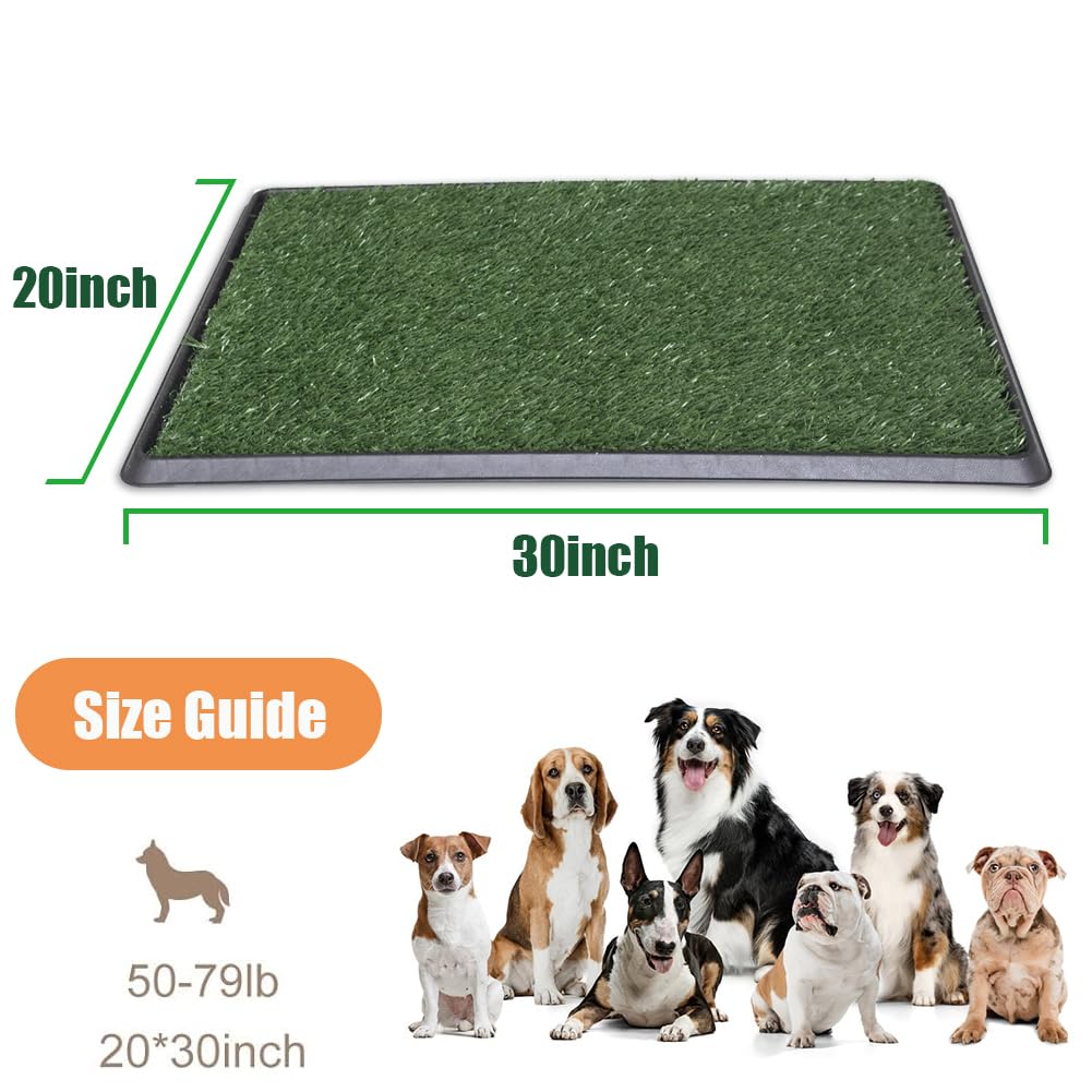 Dog Grass Pad with Tray 20x30 Inch B924187
