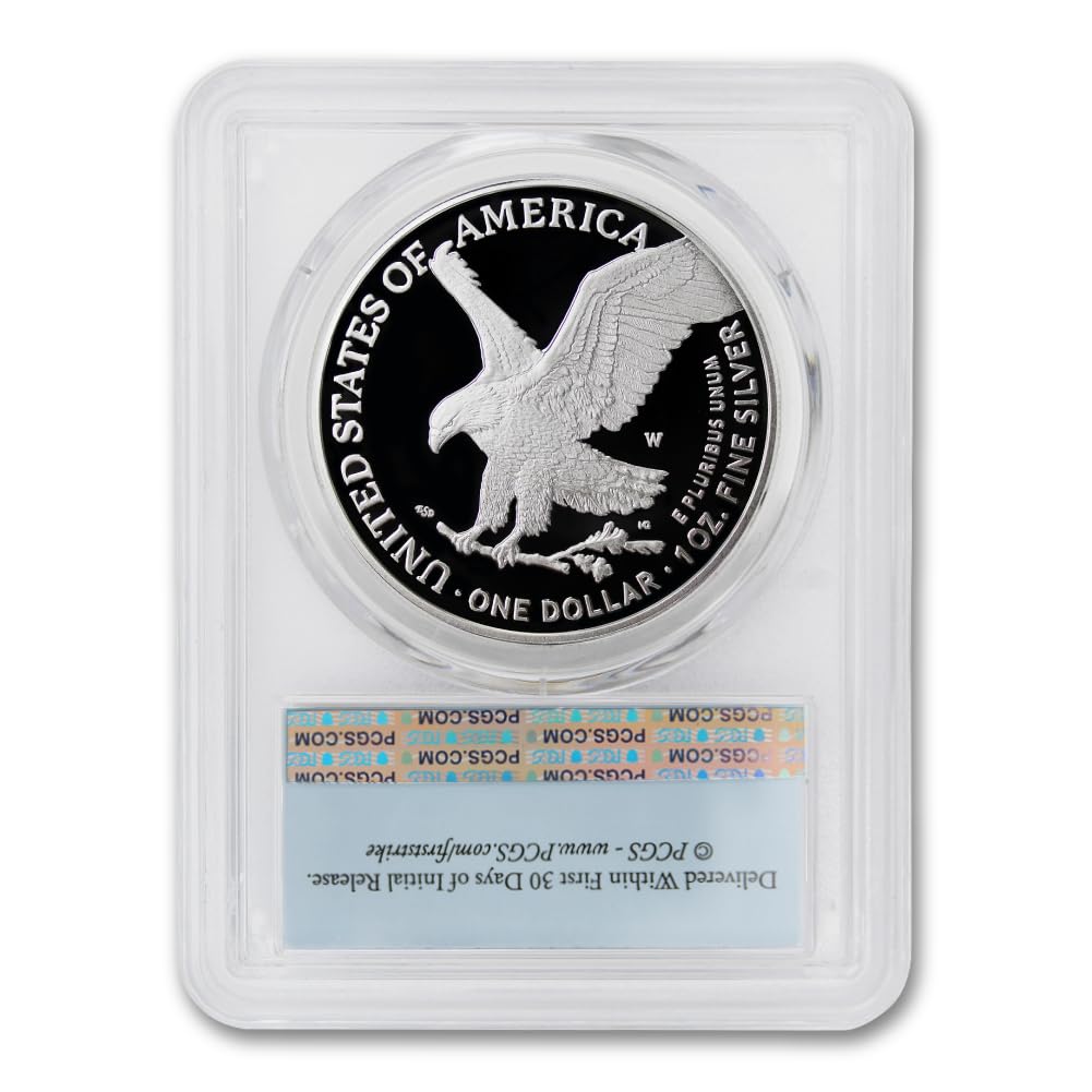 1 oz American Silver Eagle Coin I6463