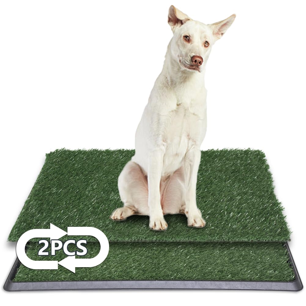 Dog Grass Pad with Tray 20x30 Inch B924187