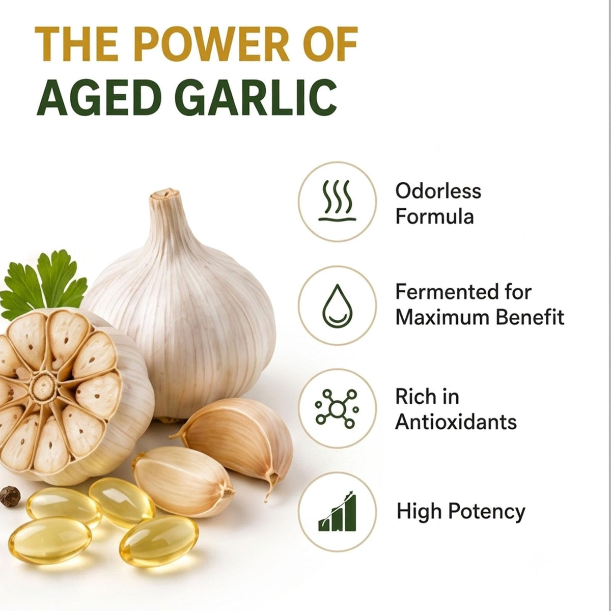 Odorless Aged Garlic Extract Supplement, 300 Softgels L862