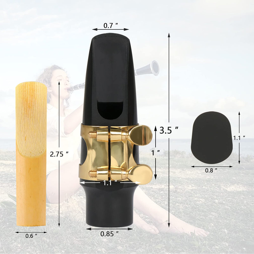 29 Pcs Alto Saxophone Mouthpiece Kit H52119
