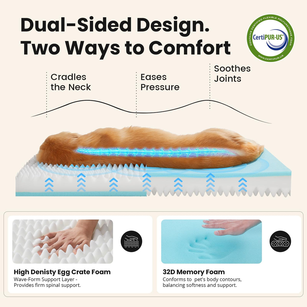 Large Reversible Memory Foam Dog Bed Y22857