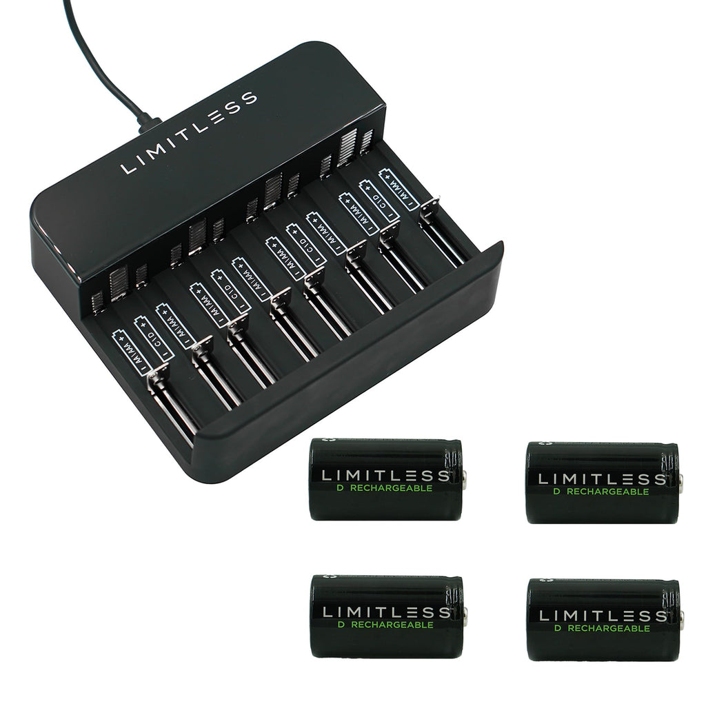 Rechargeable D Batteries 4-Pack with Charger G996666