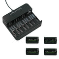 Rechargeable D Batteries 4-Pack with Charger G996666