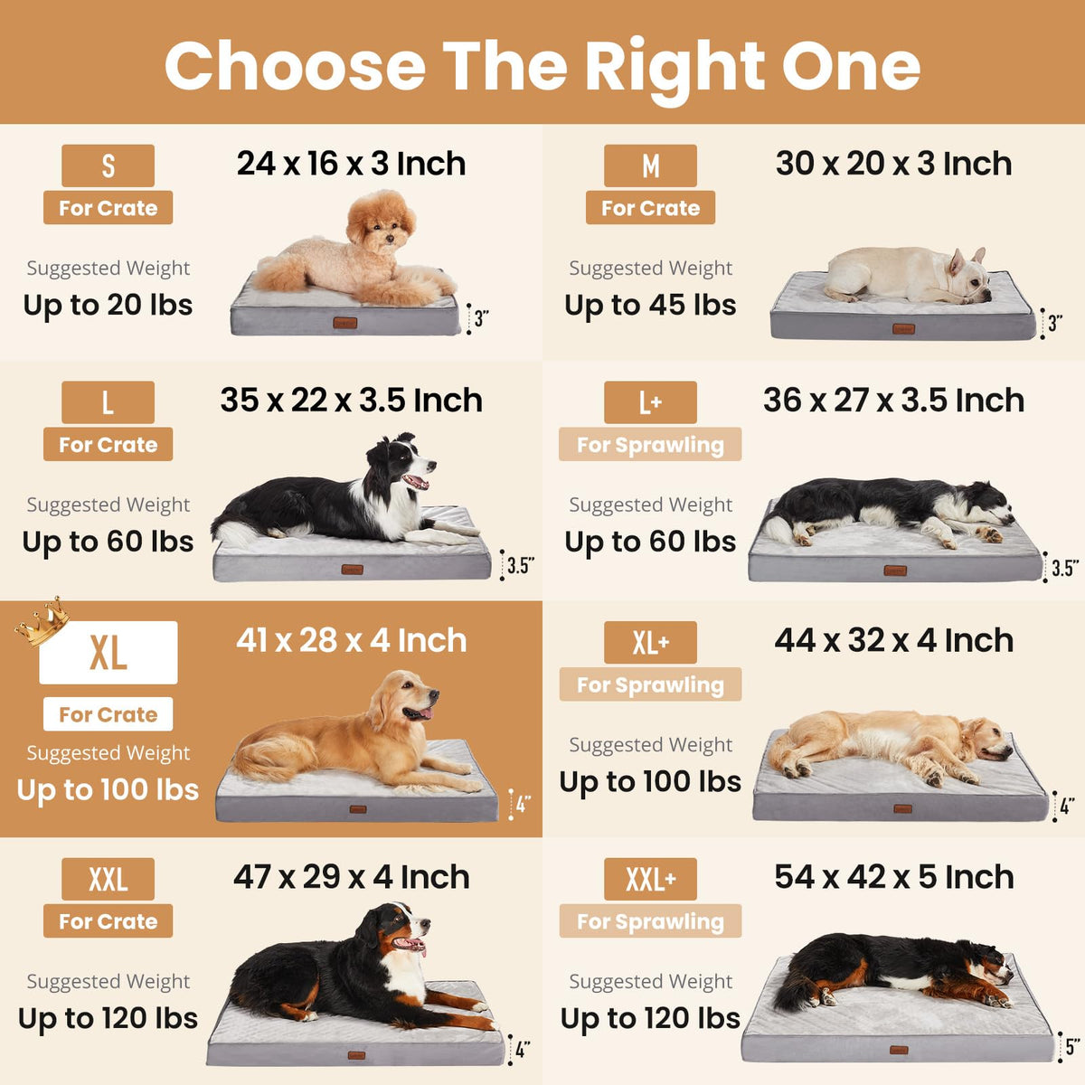 Large Reversible Memory Foam Dog Bed Y22857