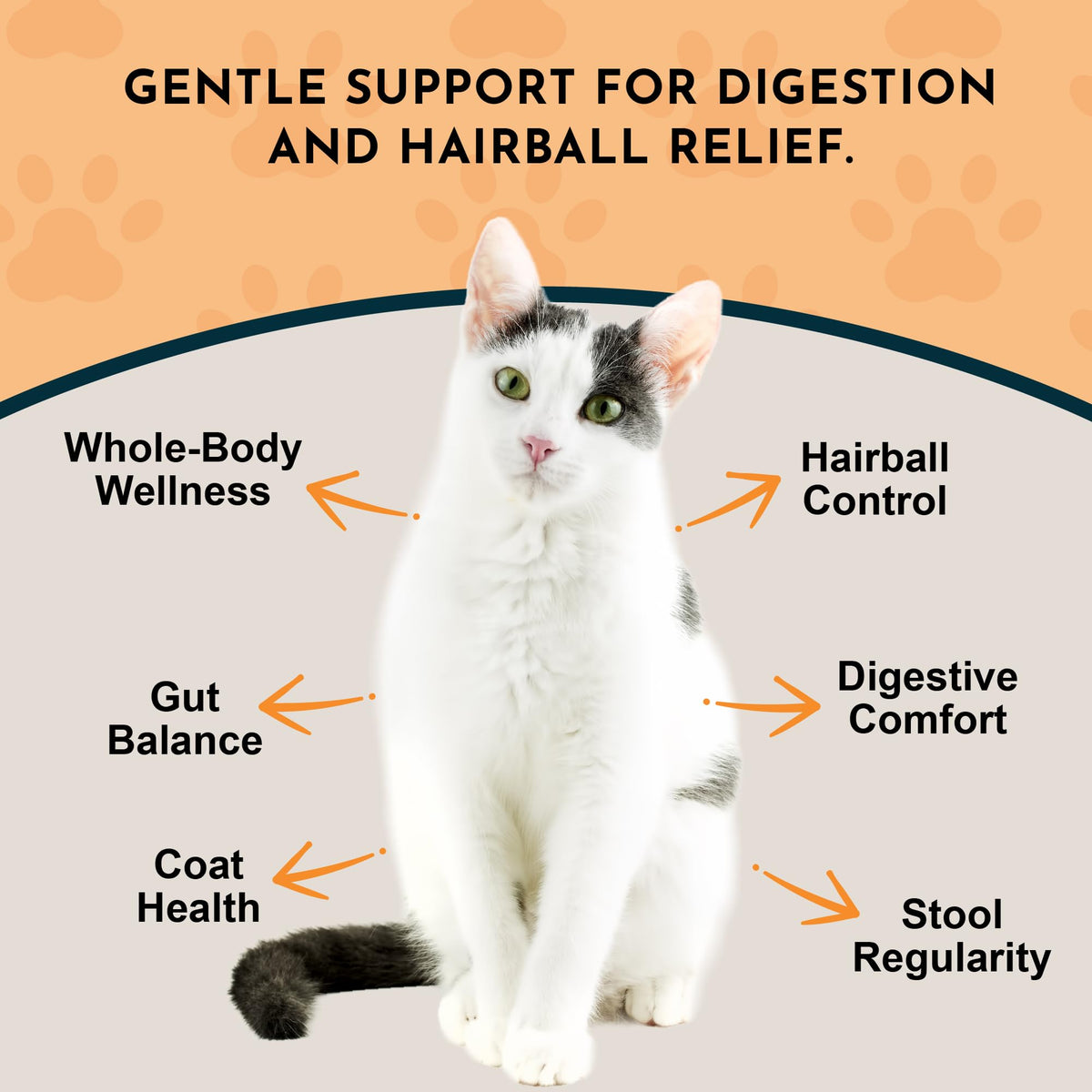 Hairball Relief Formula 1 fl Oz R263