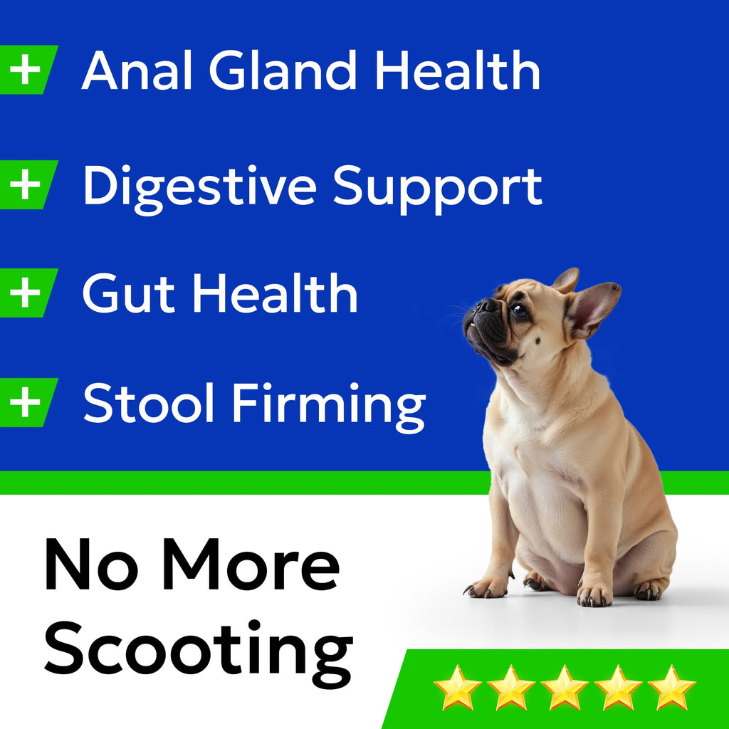 Omega 3 Fish Oil Dog Treats Bundle E804262