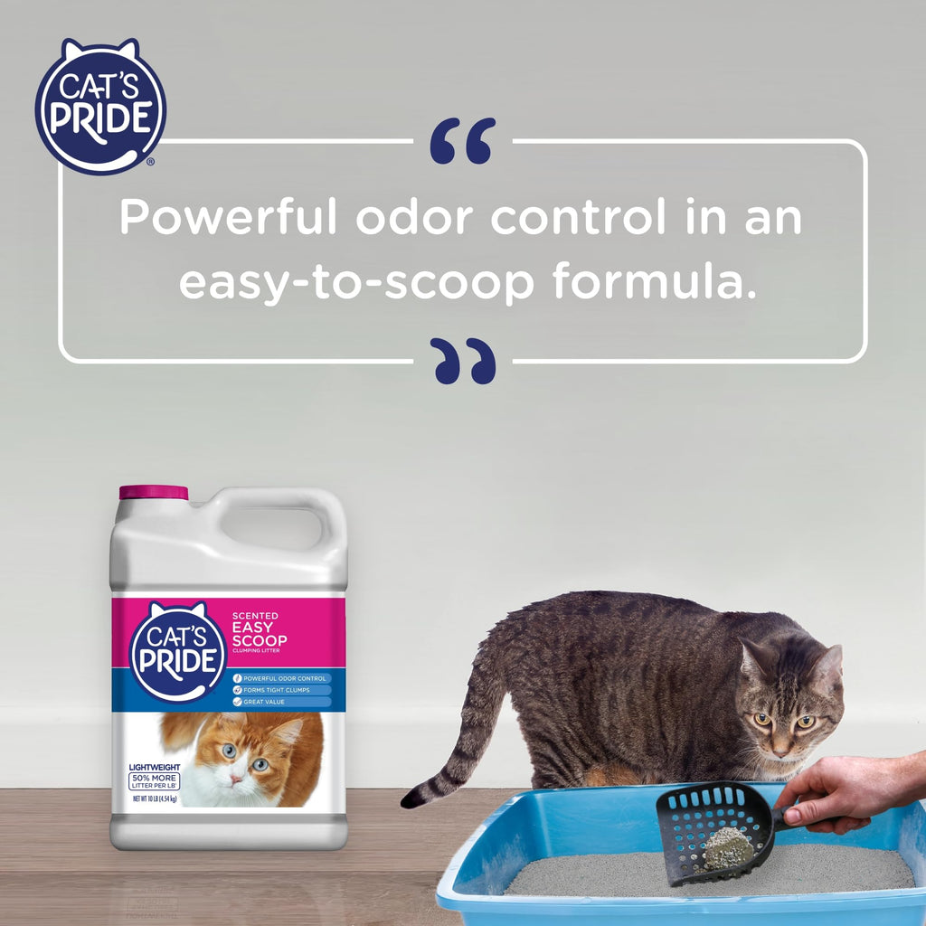 Scented Clumping Cat Litter 10lb X4427