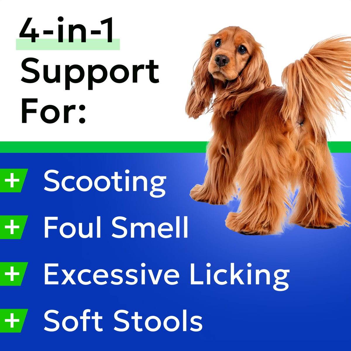 Omega 3 Fish Oil Dog Treats Bundle E804262