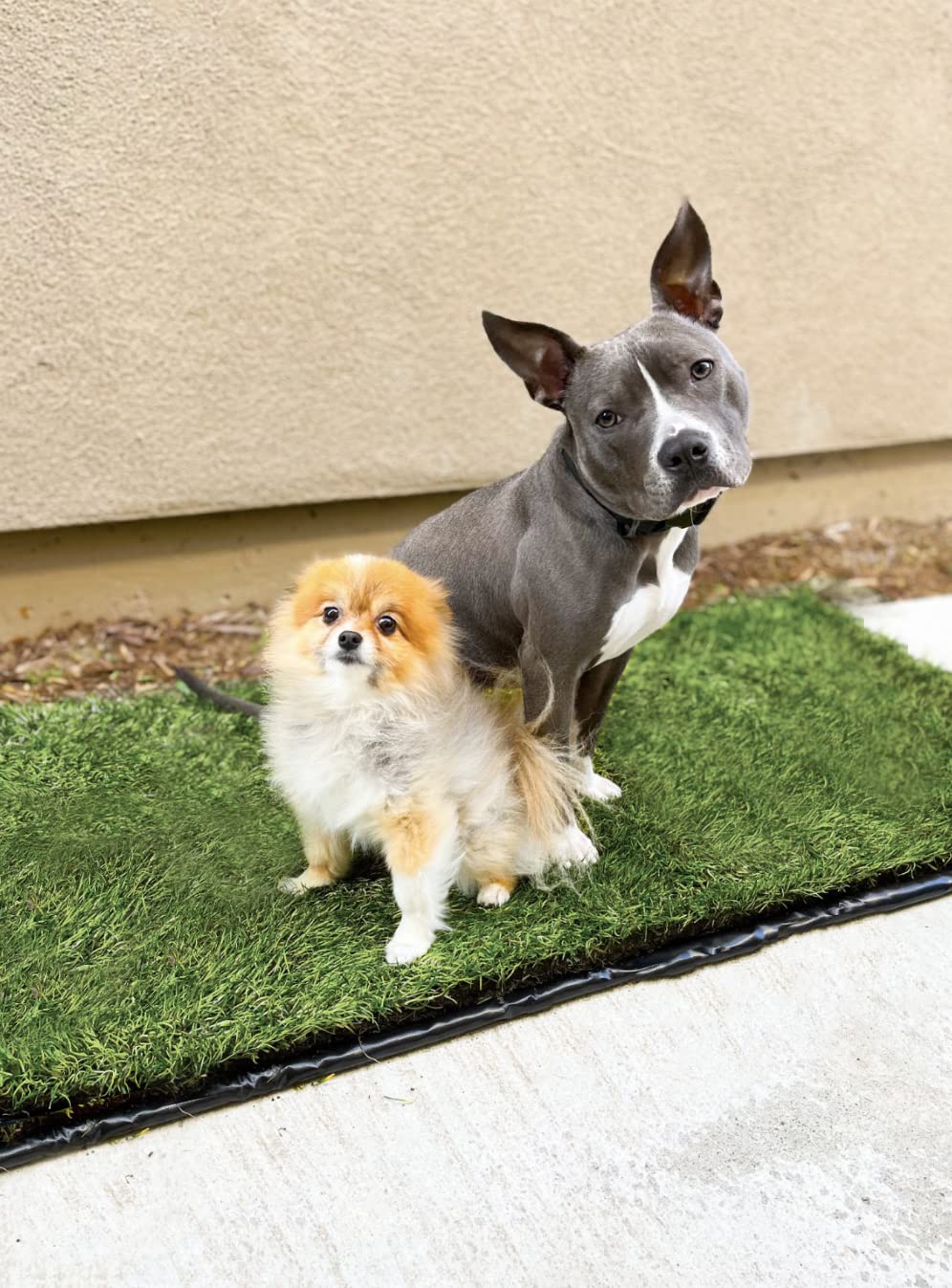 Washable Reusable Leakproof Dog Pee Pad 26.75 in x 51.5 in U58539