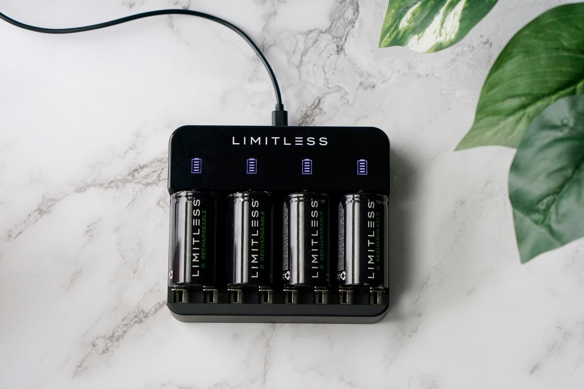 Rechargeable D Batteries 4-Pack with Charger G996666
