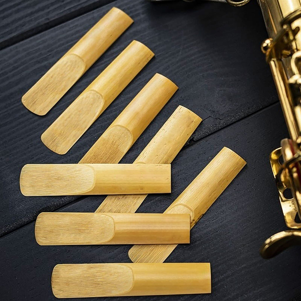 29 Pcs Alto Saxophone Mouthpiece Kit H52119