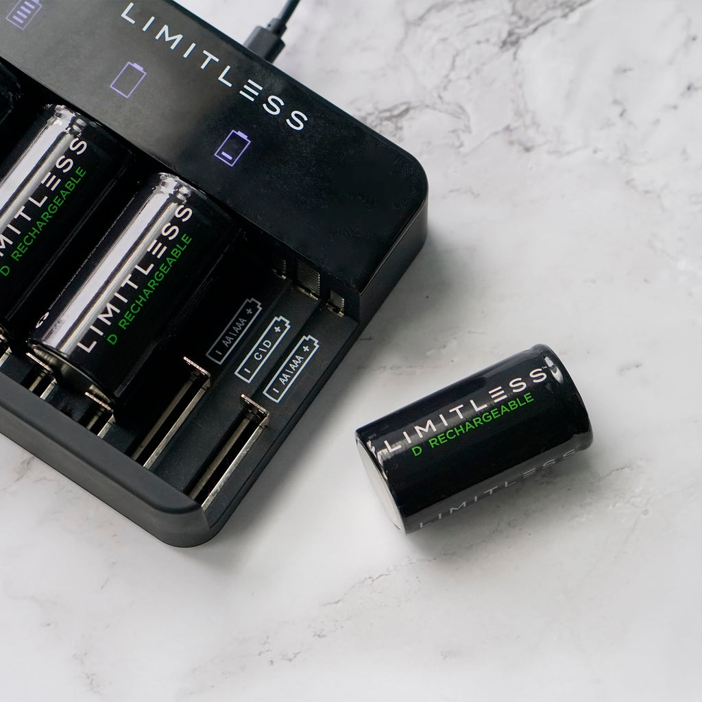 Rechargeable D Batteries 4-Pack with Charger G996666
