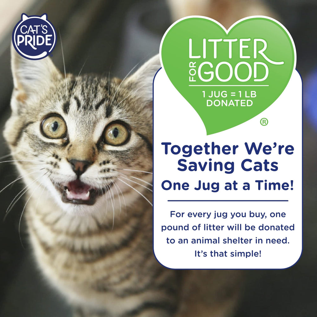Scented Clumping Cat Litter 10lb X4427