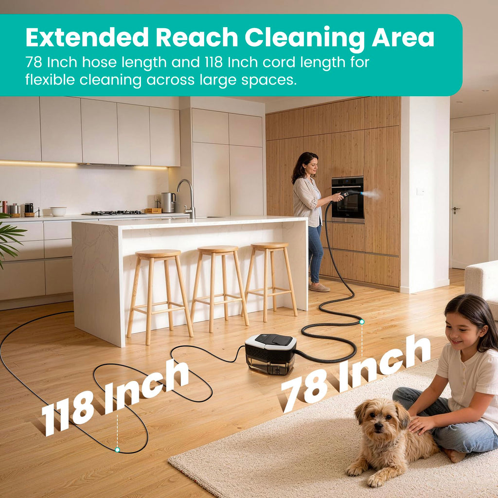 Portable Handheld Steam Cleaner M346216