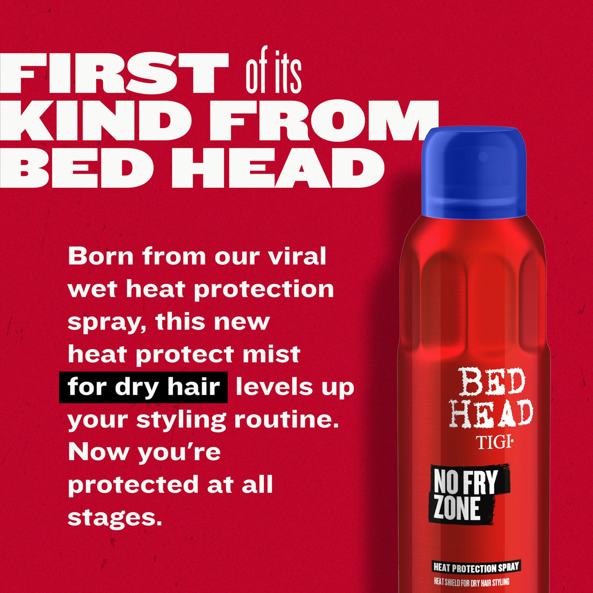 Heat Protectant Mist, 4.5 oz G53915