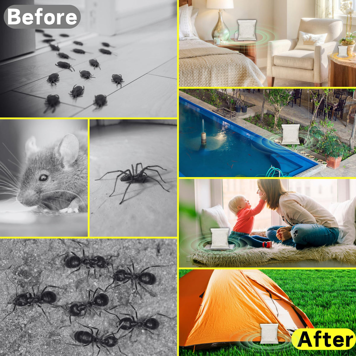 Natural Indoor Spider Repellent Q111787