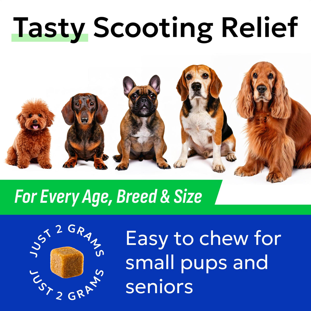 Omega 3 Fish Oil Dog Treats Bundle E804262