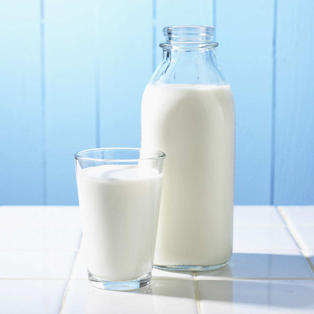 Instant Nonfat Dry Milk Powder S3040