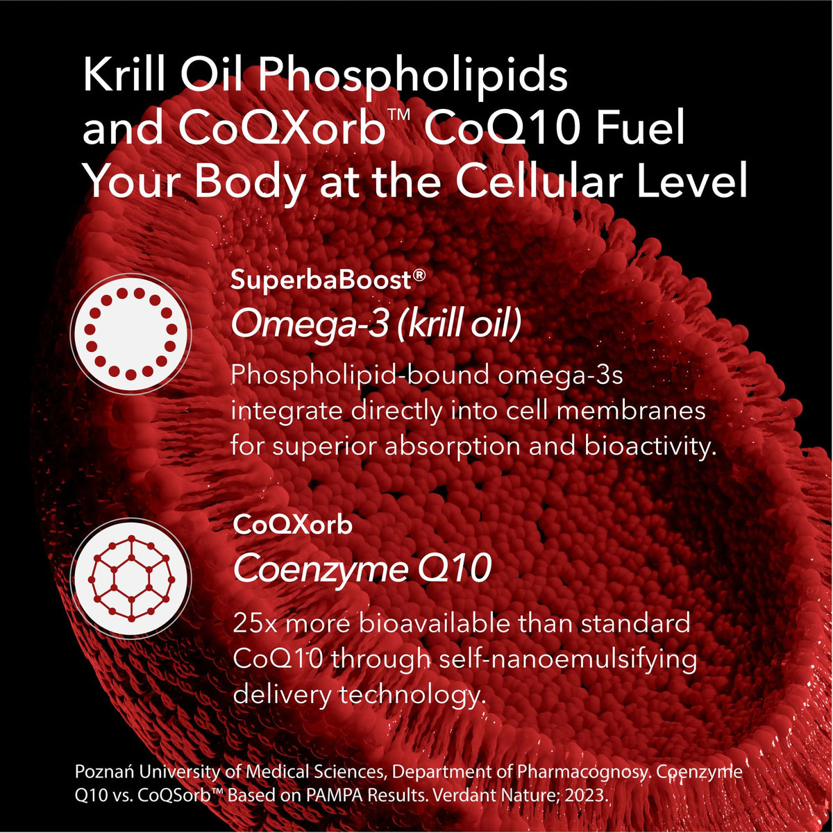 Omega 3 CoQ10 Antarctic Krill Oil 1,000mg 60 Softgels J18775