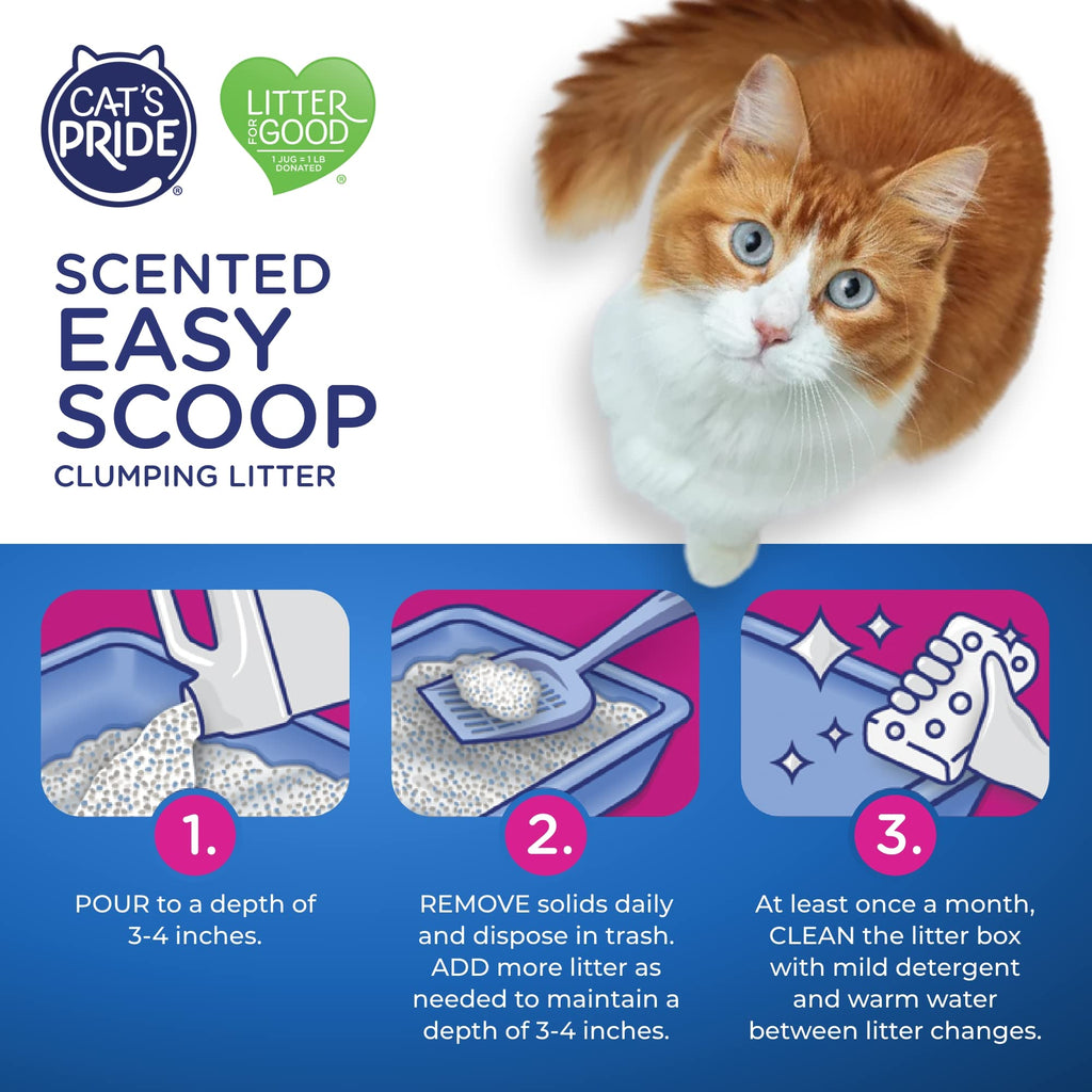 Scented Clumping Cat Litter 10lb X4427