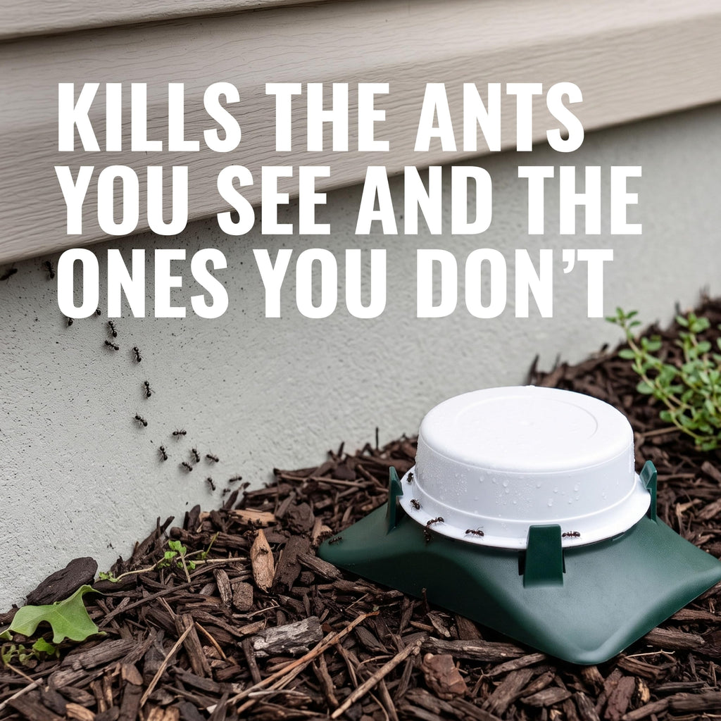 Outdoor Liquid Ant Bait Killer and Trap 8 Bait Stations S9948