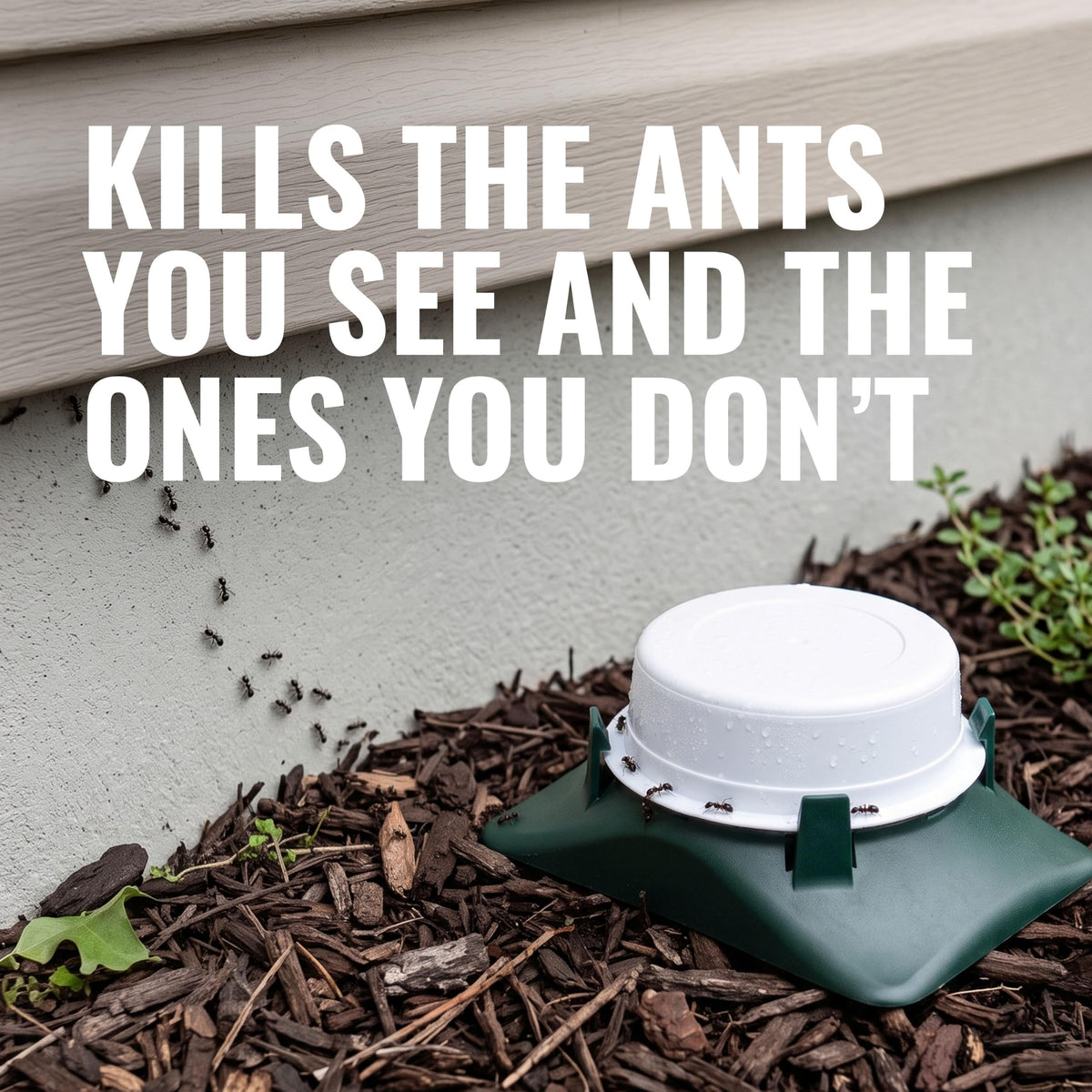 Outdoor Liquid Ant Bait Killer and Trap 8 Bait Stations S9948