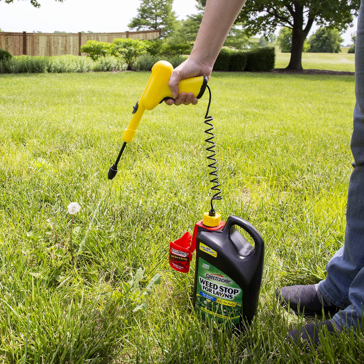 Weed Stop For Lawns Sprayer O1507